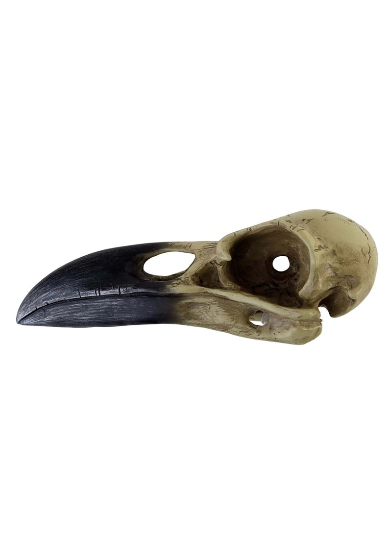 Alchemy Corvus Alchemica Raven Skull - Image 5